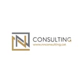 IN Consulting
